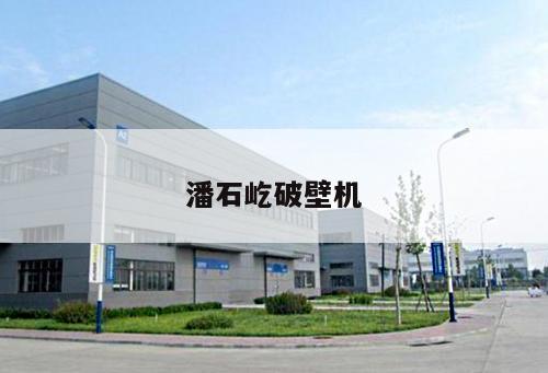 潘石屹破壁機